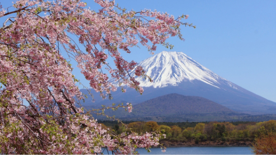 やつはメールマガジン Vol.1052画像